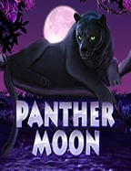 Sky Ruler ทดลองเล่นฟรี: มาเล่นกันเถอะ!